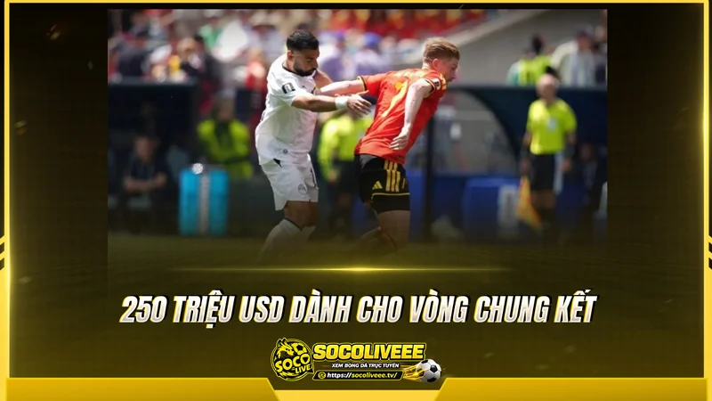 Phần lớn ngân sách tương đương 250 triệu USD chi cho trận chung kết
