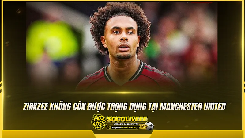 Zirkzee không còn được trọng dụng tại Manchester United
