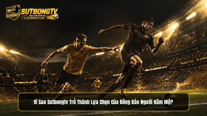 Vì sao Sutbongtv TV trở thành lựa chọn của đông đảo người hâm mộ?
